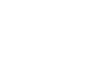 MIS Group Logo